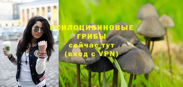 гидра Богданович
