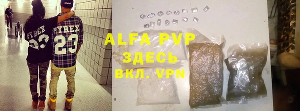 гидра Богданович