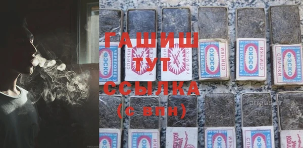 гидра Богданович
