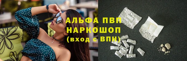 spice Белокуриха