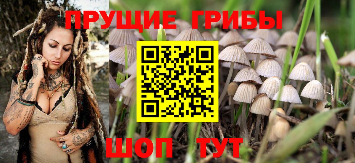 Реж  Галлюциногенные грибы Psilocybe  Вход с VPN  Псилоцибиновые грибы MAGIC MUSHROOMS 
