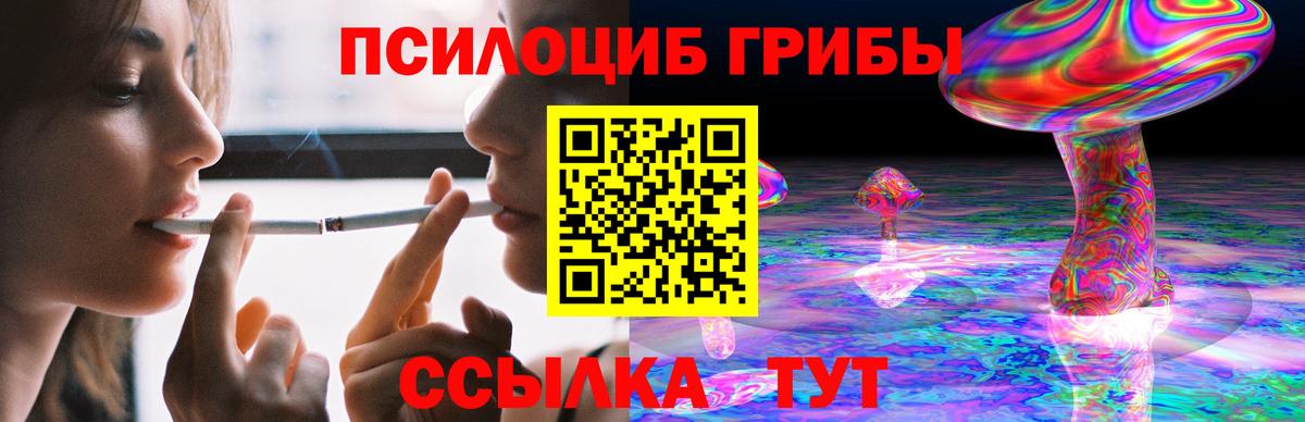 Галлюциногенные грибы Psilocybe Реж